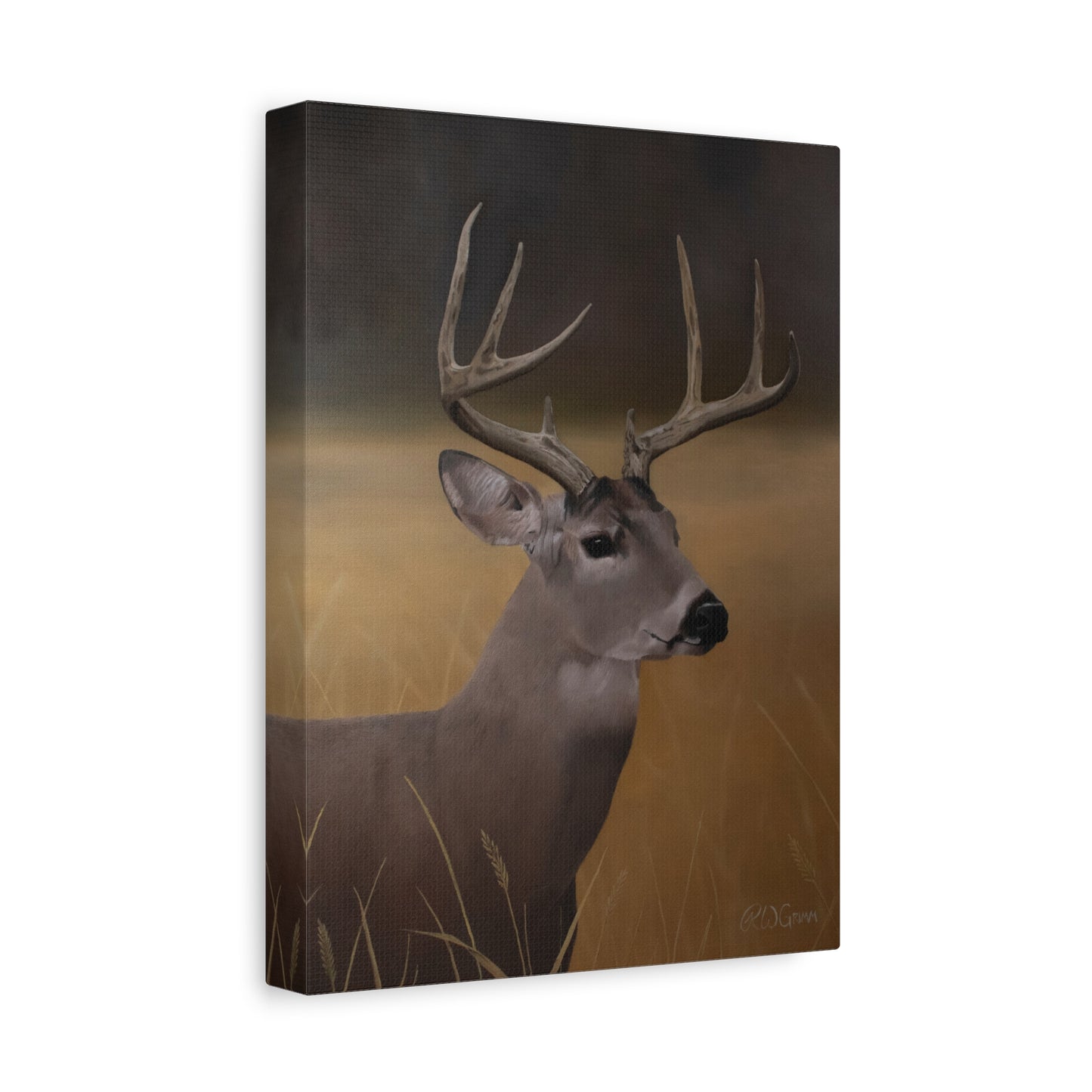 Canvas Art Print of "Whitetail Buck" by Rochelle W. Grimm. - Elegant Deer Canvas Wall Art, Nature Home Decor, Rustic Farmhouse Style, Great for Living Room or Cabin