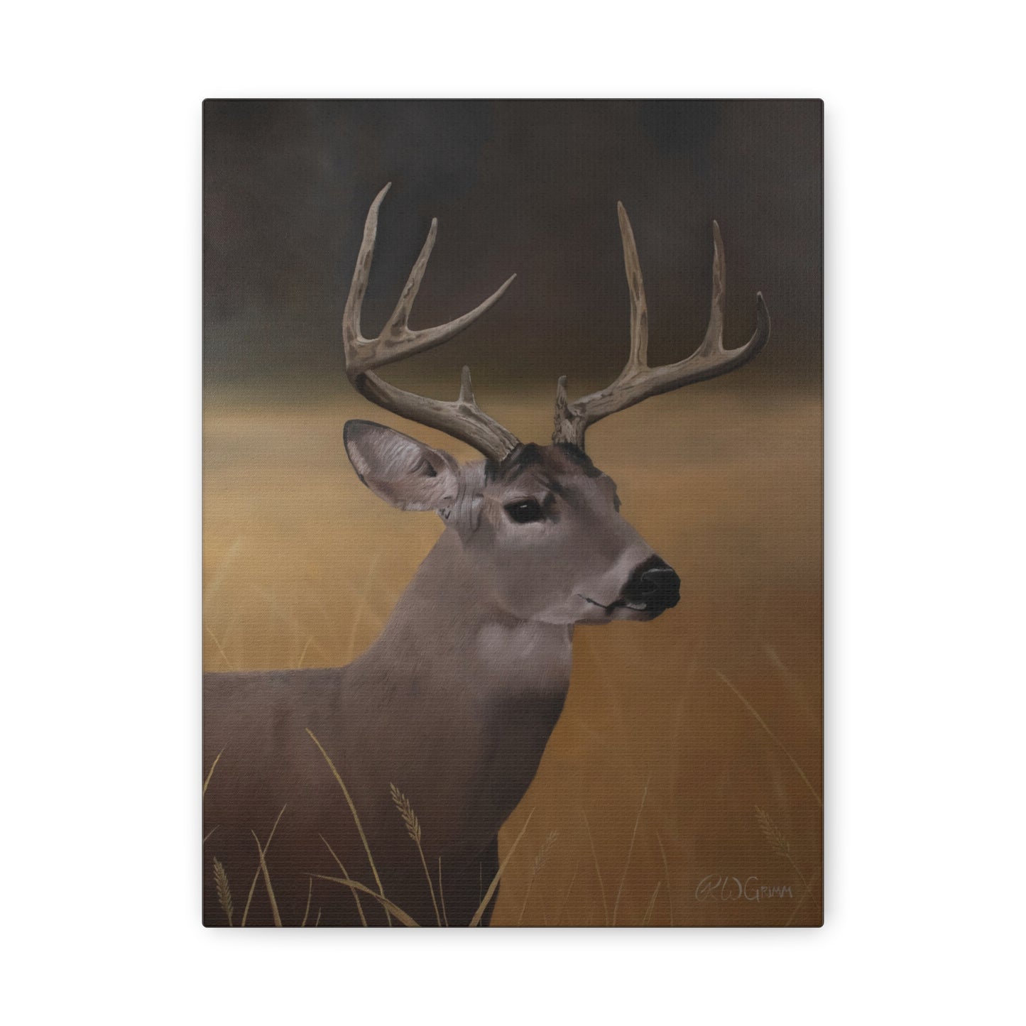 Canvas Art Print of "Whitetail Buck" by Rochelle W. Grimm. - Elegant Deer Canvas Wall Art, Nature Home Decor, Rustic Farmhouse Style, Great for Living Room or Cabin