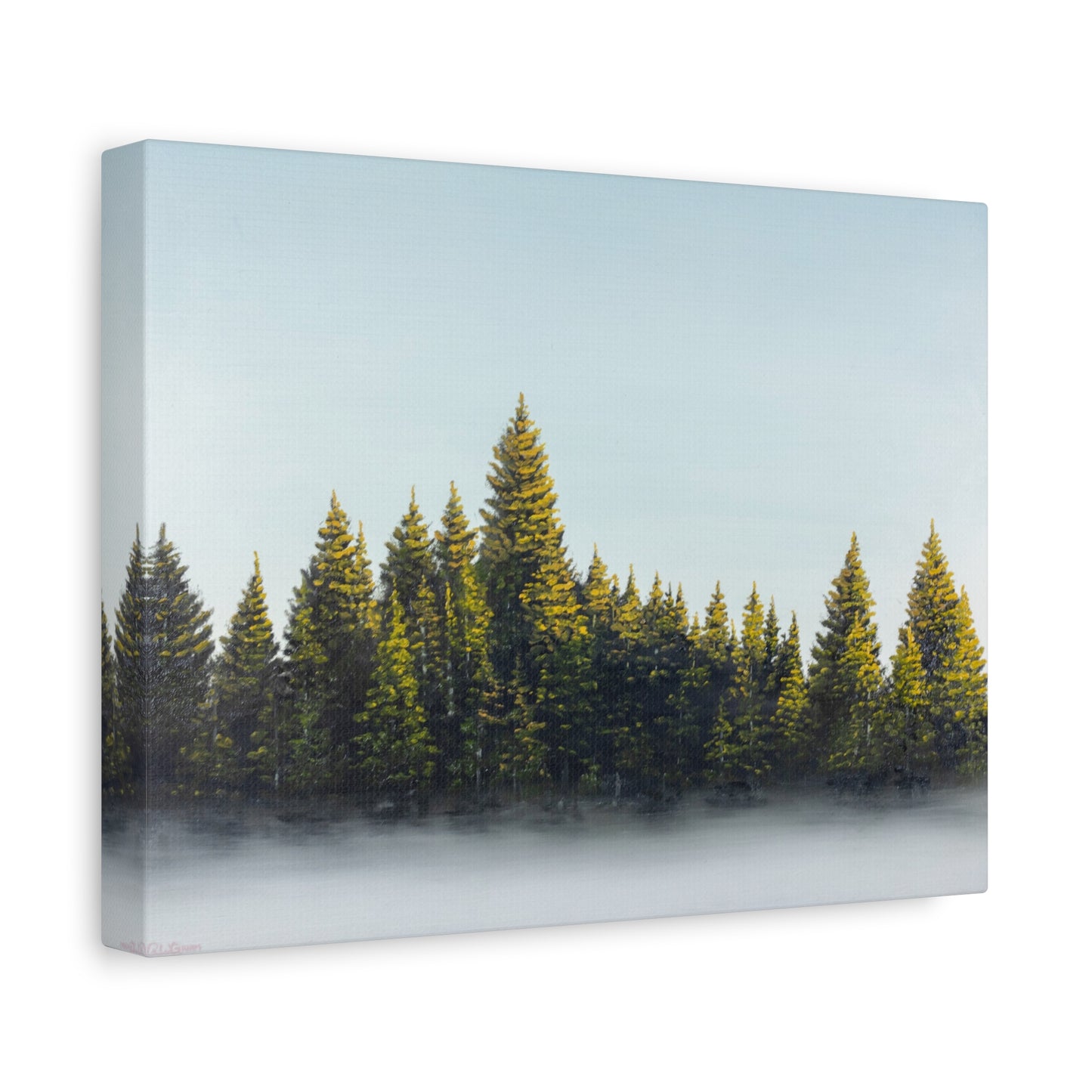 Canvas Art Print of "Pines in the Fog" by Rochelle W. Grimm. - Misty Pine Forest, Nature Enthusiast Wall Art