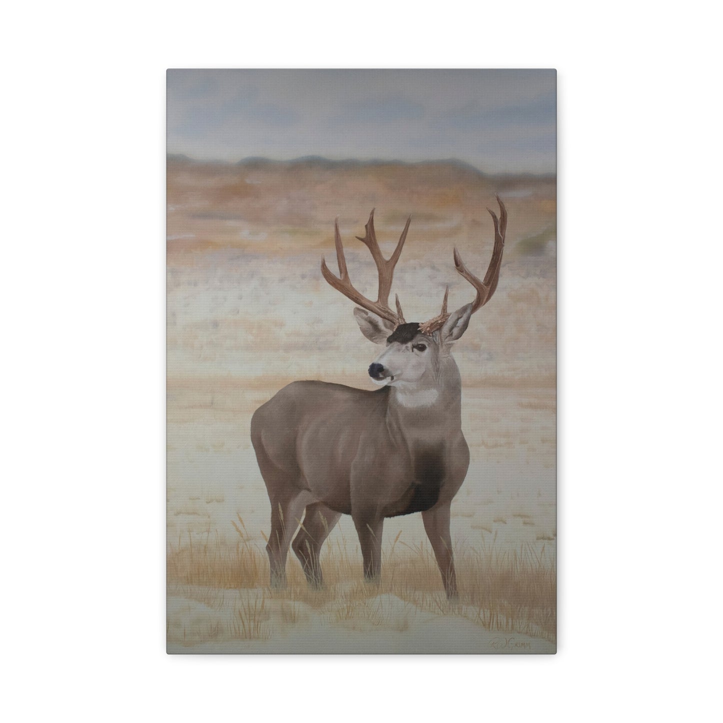 Canvas Art Print of "Mule Deer" by Rochelle W. Grimm. - Nature-Inspired Deer Wall Art Canvas, Wildlife Decor, Rustic Home Accent, Gifts for Nature Lovers, Cabin Decor, Animal Art