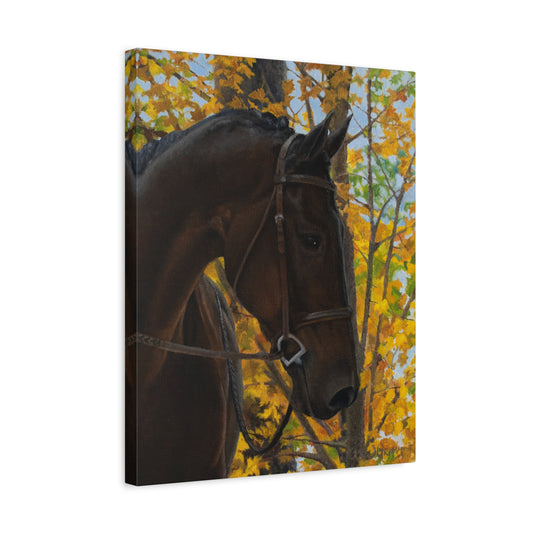 Canvas Art Print of "shiraz" by Rochelle W. Grimm. - Elegant Horse Portrait Canvas Print, Horse Decor, Equestrian Art, Autumn Wall Art, Gift for Horse Lovers