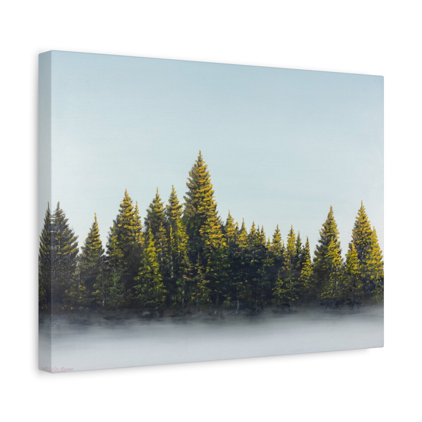 Canvas Art Print of "Pines in the Fog" by Rochelle W. Grimm. - Misty Pine Forest, Nature Enthusiast Wall Art