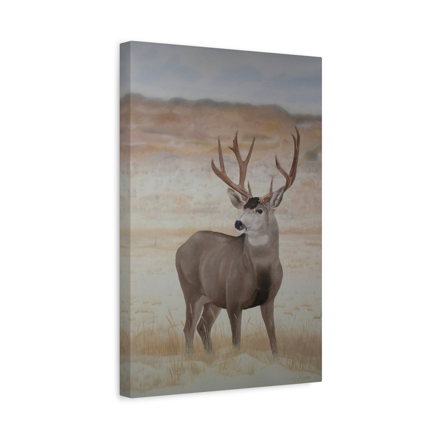 Canvas Art Print of "Mule Deer" by Rochelle W. Grimm. - Nature-Inspired Deer Wall Art Canvas, Wildlife Decor, Rustic Home Accent, Gifts for Nature Lovers, Cabin Decor, Animal Art