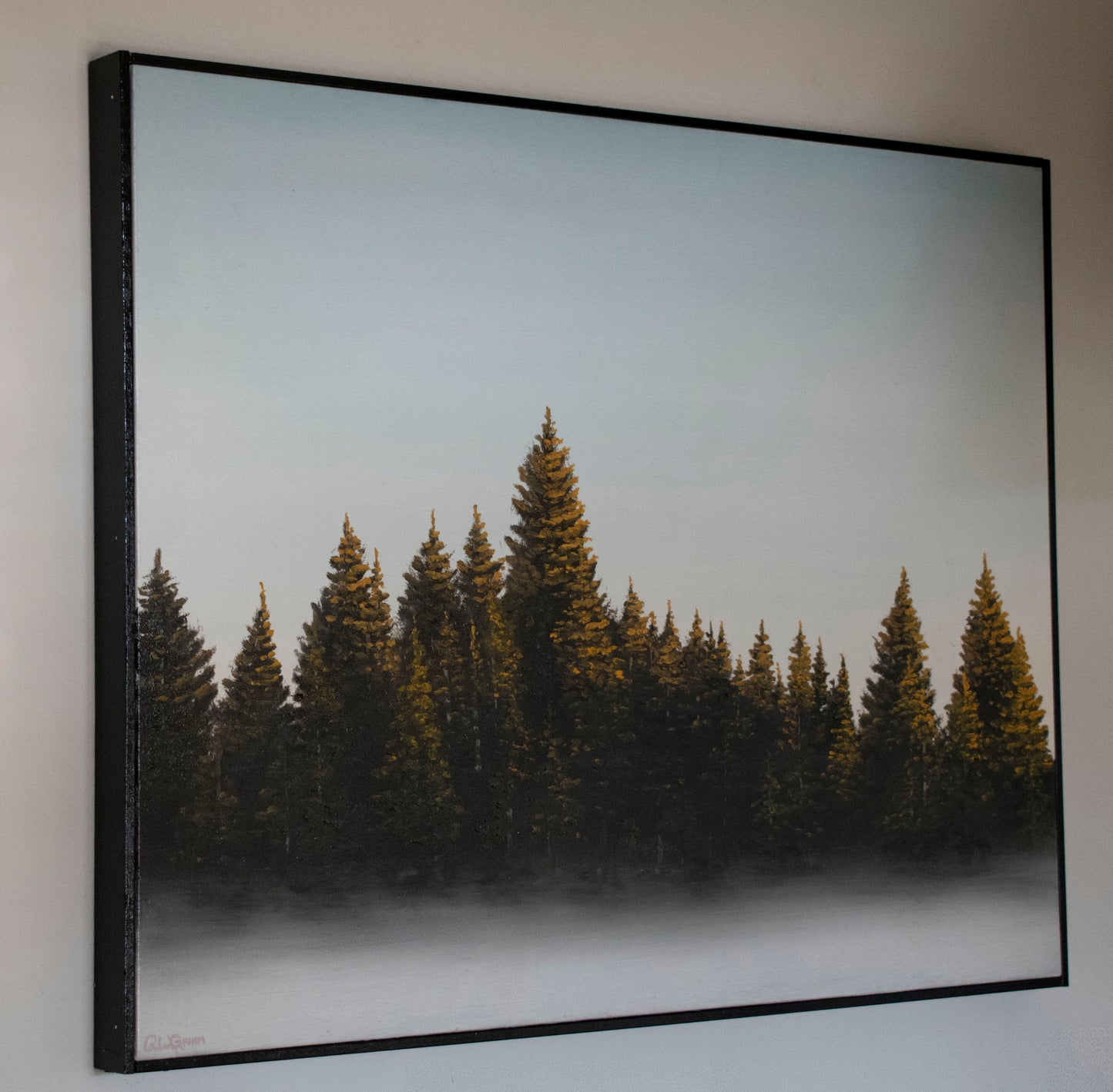 Pines in the Fog