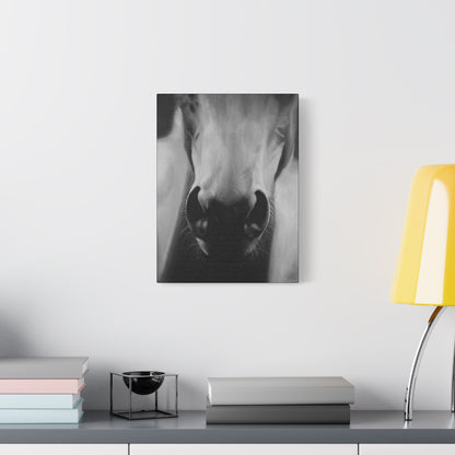 Canvas Art Print of "Whiskers" by Rochelle W. Grimm. -Modern Animal Wall Decor, Minimalist Home Decor, Gift for Horse Lovers, Equine Art