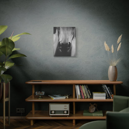 Canvas Art Print of "Whiskers" by Rochelle W. Grimm. -Modern Animal Wall Decor, Minimalist Home Decor, Gift for Horse Lovers, Equine Art