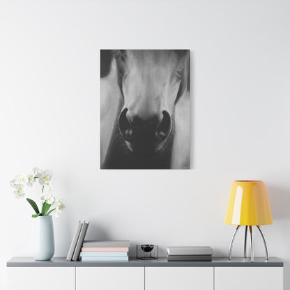 Canvas Art Print of "Whiskers" by Rochelle W. Grimm. -Modern Animal Wall Decor, Minimalist Home Decor, Gift for Horse Lovers, Equine Art