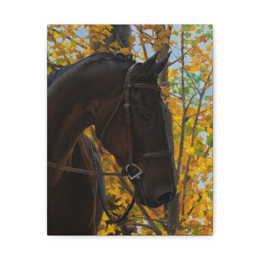 Canvas Art Print of "shiraz" by Rochelle W. Grimm. - Elegant Horse Portrait Canvas Print, Horse Decor, Equestrian Art, Autumn Wall Art, Gift for Horse Lovers