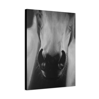 Canvas Art Print of "Whiskers" by Rochelle W. Grimm. -Modern Animal Wall Decor, Minimalist Home Decor, Gift for Horse Lovers, Equine Art
