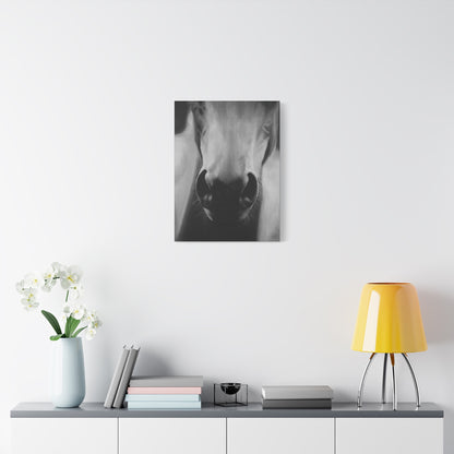 Canvas Art Print of "Whiskers" by Rochelle W. Grimm. -Modern Animal Wall Decor, Minimalist Home Decor, Gift for Horse Lovers, Equine Art