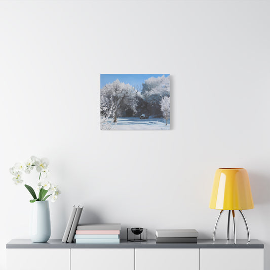 Canvas Art Print of "Colorado Winter" by Rochelle W. Grimm. - Winter Wonderland Canvas Art, Wall Decor, Scenic Landscape, Gift for Nature Lovers, Seasonal Home Decoration