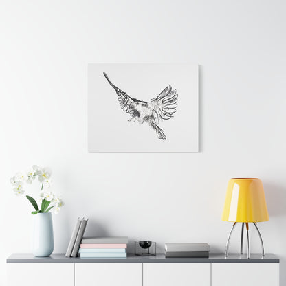 Canvas Art Print of "Falcon Fonts" by Rochelle W. Grimm. - Stretched Canvas Art Print of a Flying Bird, Wall Decor, Modern Home Art, Gift for Nature Lovers, Minimalist Artwork, Bird Wall Art, Falcon Art, Falcon Print
