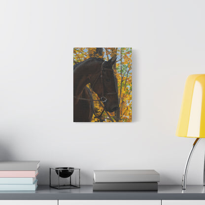 Canvas Art Print of "shiraz" by Rochelle W. Grimm. - Elegant Horse Portrait Canvas Print, Horse Decor, Equestrian Art, Autumn Wall Art, Gift for Horse Lovers