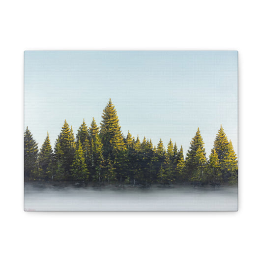 Canvas Art Print of "Pines in the Fog" by Rochelle W. Grimm. - Misty Pine Forest, Nature Enthusiast Wall Art