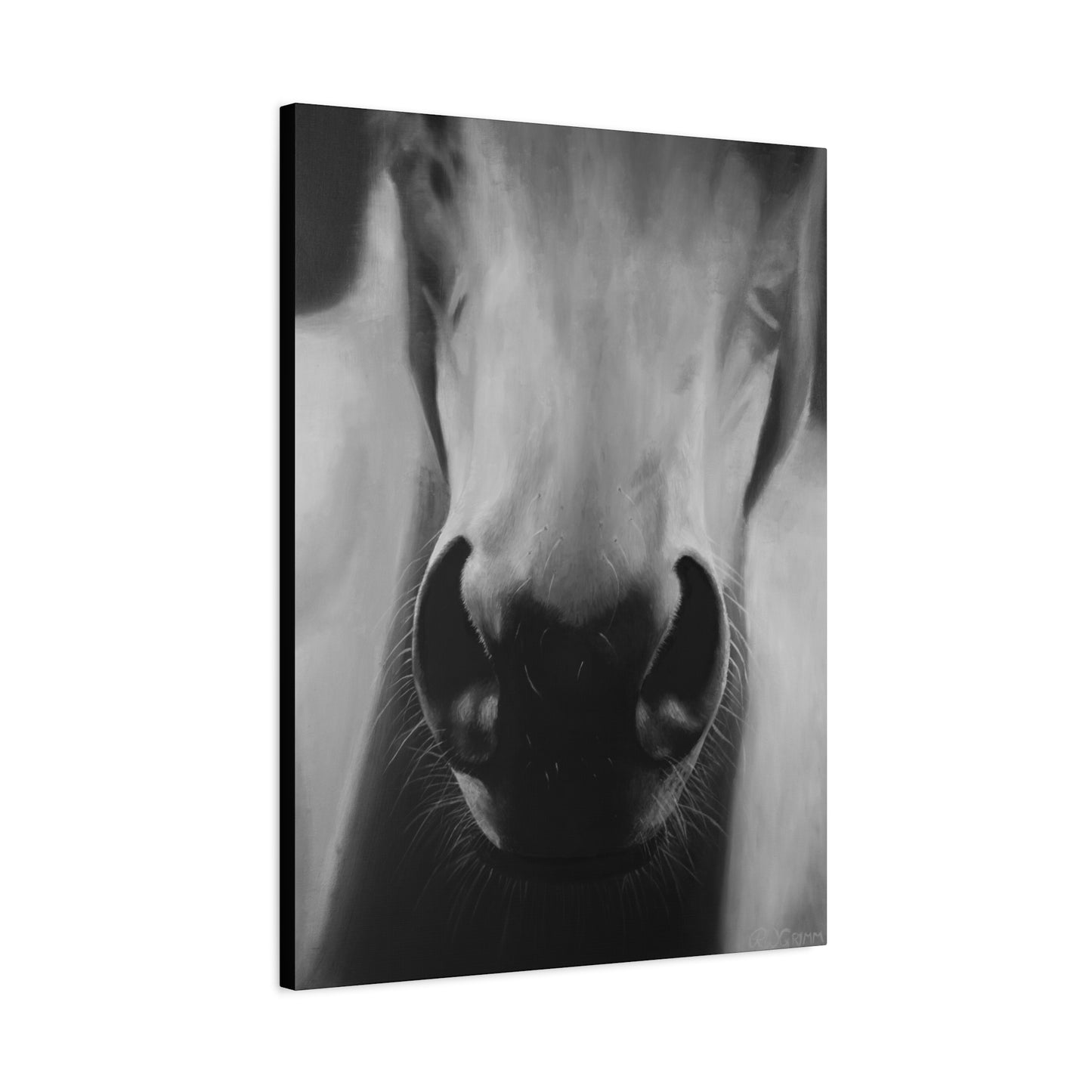 Canvas Art Print of "Whiskers" by Rochelle W. Grimm. -Modern Animal Wall Decor, Minimalist Home Decor, Gift for Horse Lovers, Equine Art