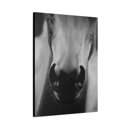 Canvas Art Print of "Whiskers" by Rochelle W. Grimm. -Modern Animal Wall Decor, Minimalist Home Decor, Gift for Horse Lovers, Equine Art