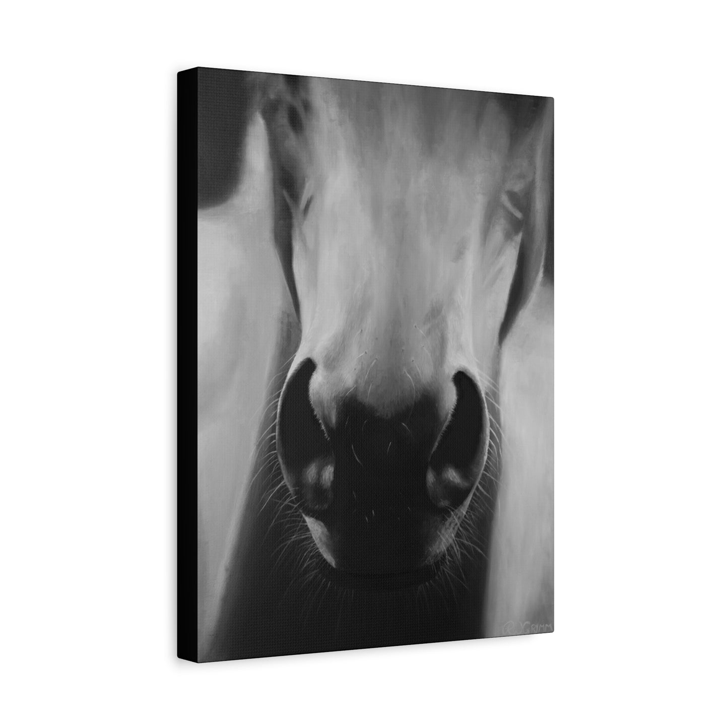 Canvas Art Print of "Whiskers" by Rochelle W. Grimm. -Modern Animal Wall Decor, Minimalist Home Decor, Gift for Horse Lovers, Equine Art