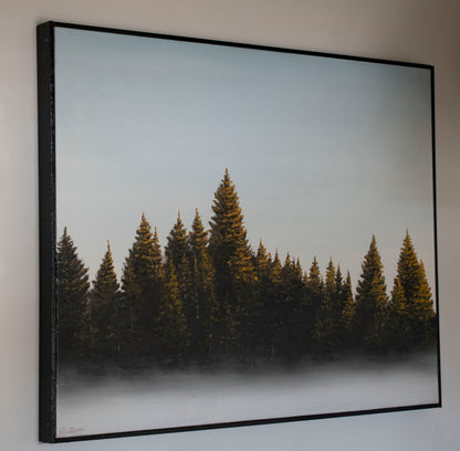Pines in the Fog