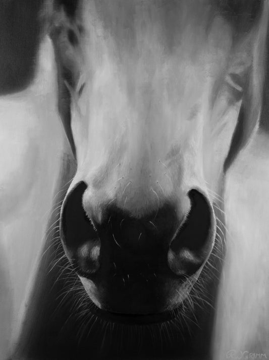 Whiskers
