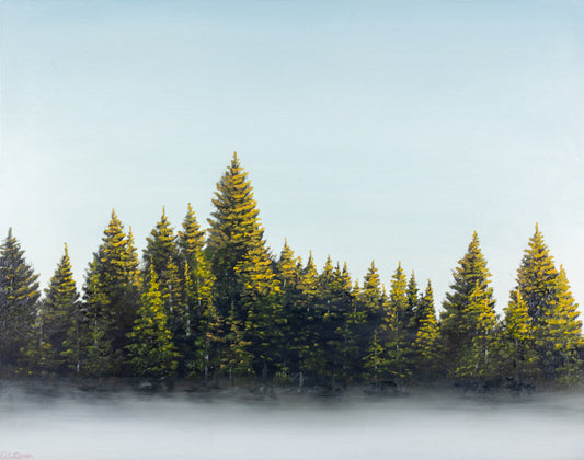 Pines in the Fog